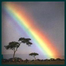 Landscape with rainbow