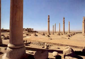 The columns of the Apadana of Persepolis