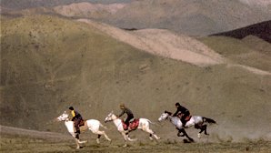 Turkoman Riders