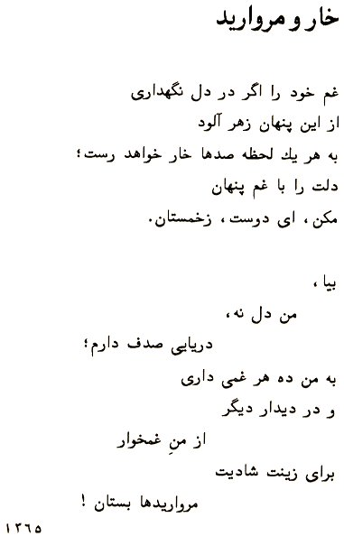 The Thorn and The Pearl