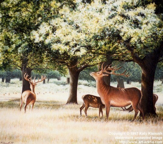 The Richmond Deer